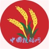 中国粳稻网