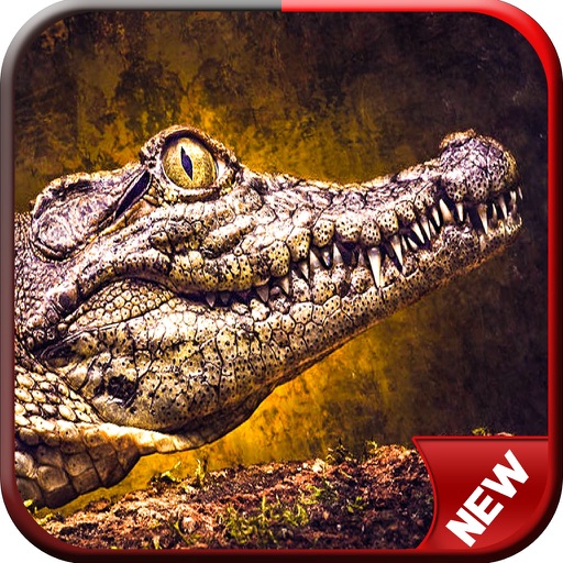2016 Alligator Hunter Challenge icon