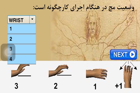 HSE.Ergo.RULA(Persian) screenshot 4