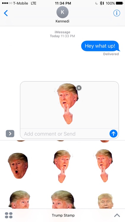 Trump Stamp