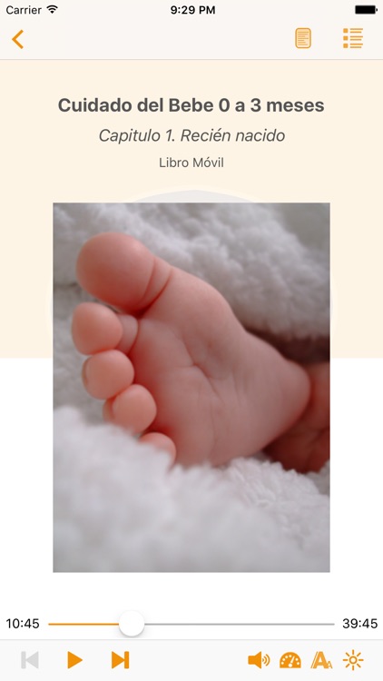 Cuidado del Bebe 0 a 3 meses – AudioEbook