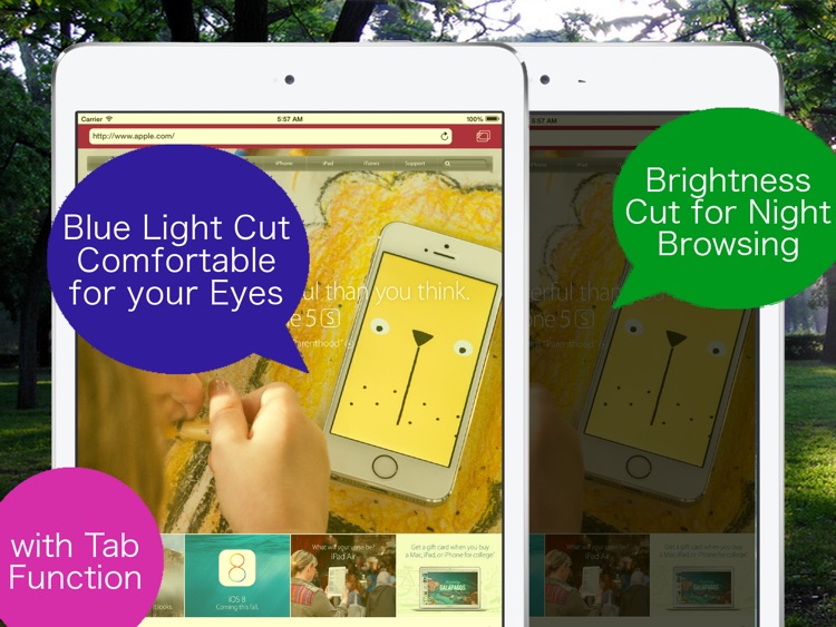 Blue Light Cut Browser AceColor for iPad