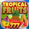 Abu Dhabi Vegas World Paradise Tropical Slots