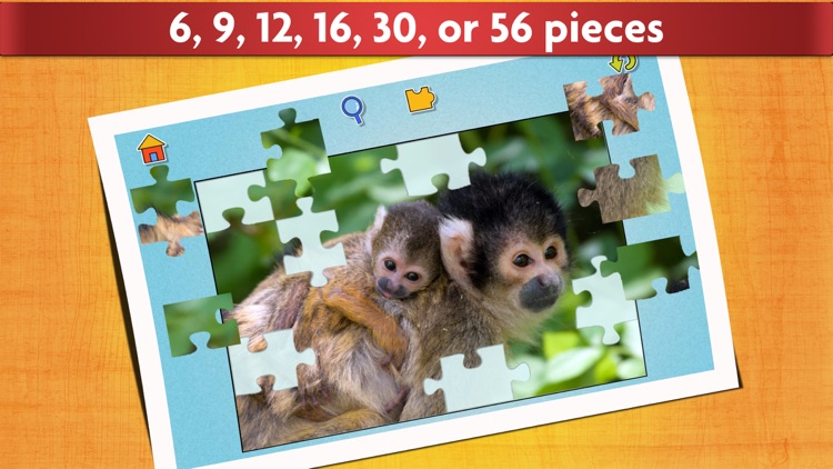 Cute Baby Animals Puzzle - Relaxing photo picture jigsaw puzzles for kids and adults