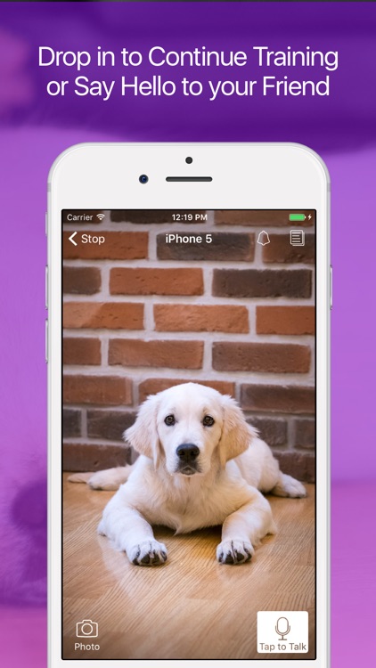 Pet Monitor: Dog and Puppy Camera