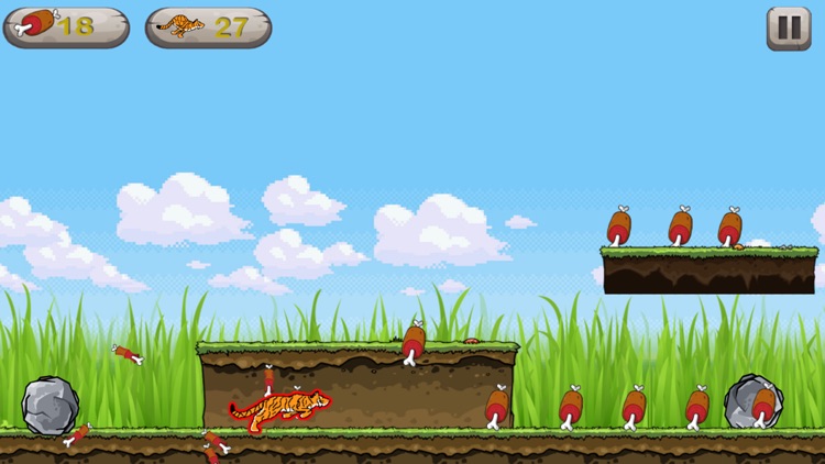 Baby Tiger Run - Adventure eat meat to thrive screenshot-3