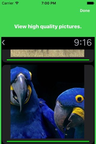 pixR - Viewer for 500px screenshot 2