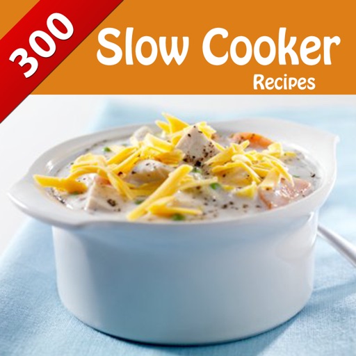 300+ Slow Cooker Recipes - Breakfast, Dinner, Stew