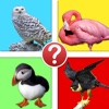 Bird Watcher Trivia - Identify Species Photo Quiz