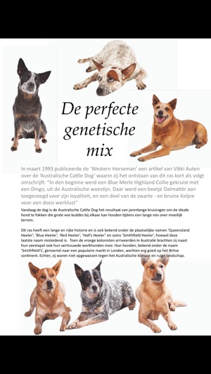 Country Life Magazine NL(圖4)-速報App