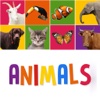My First Words For Baby:Animals Of All Categories For Learning Preschool