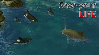 ドルフィンシミュレータ3D - 水中の魚のシミュレーションゲームのおすすめ画像4
