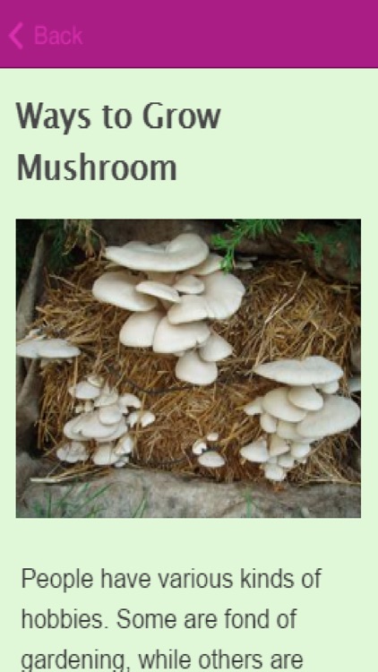 How To Grow Mushrooms