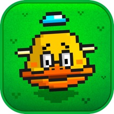 Activities of Flappy Downhill Racing - Race 2 Bird At The Same Time