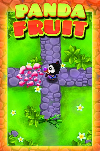 Ninja Panda Fruit Land screenshot 2
