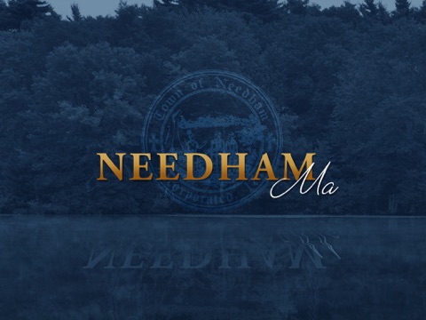 NeedhamMA - náhled