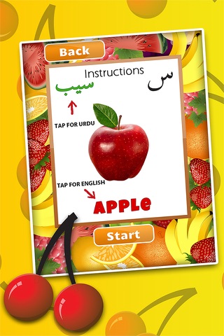 Urdu Fruits Kids Book - Learning Qaida Pakistan screenshot 4