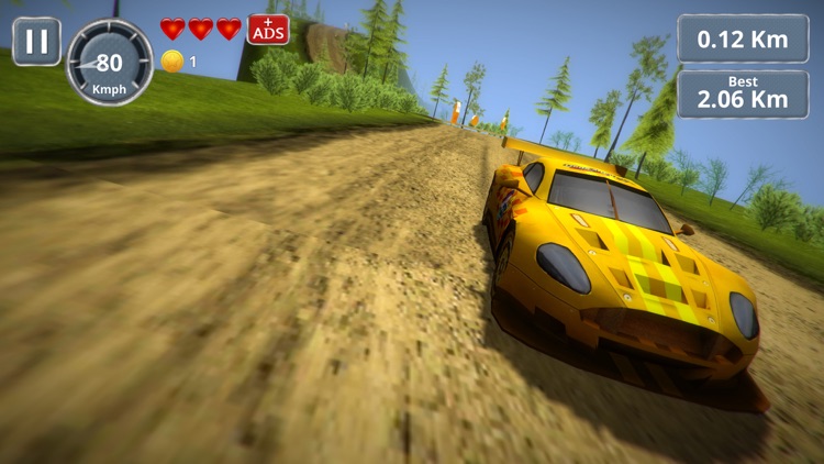 Rally Racing 3D