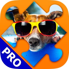 Activities of Dogs Jigsaw Puzzle Game. Premium