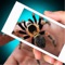 This app is intended for entertainment purposes only and does not provide true Spider for Hand