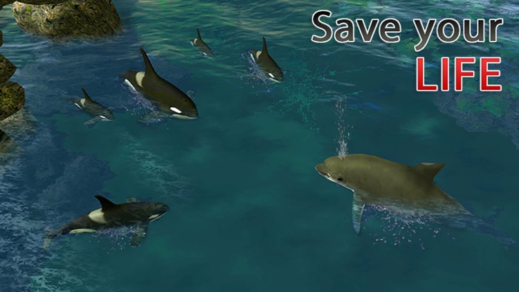 Dolphin Simulator 3D – Underwater Fish Simulation Game screenshot-3