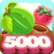 Berry 5000 - fruit crush