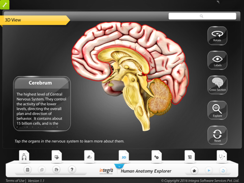 Human anatomy explorer Nervous System screenshot 3