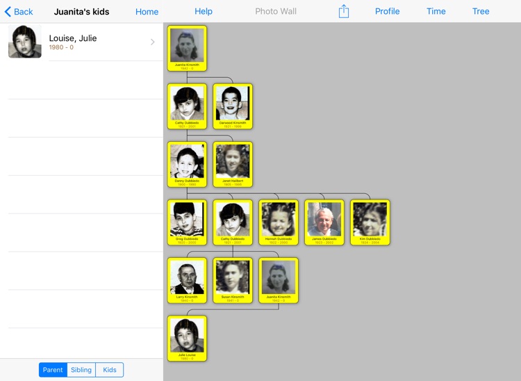 Build Your Family Tree HD
