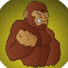 Monkey Kong : Banana Jungle Adventure