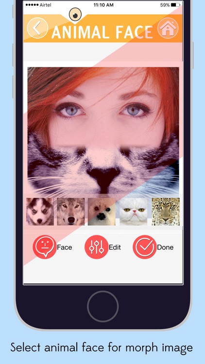 InstaAnimal Face - Morph Your Pics
