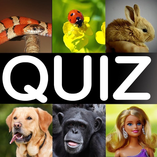 What is it? the funny picture quiz game! Icon