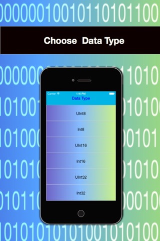 DataType Conv screenshot 3