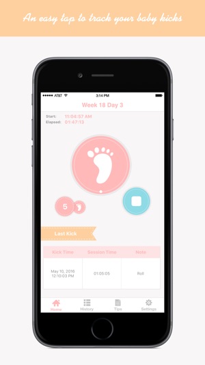 Baby Kicks Tracker Pro