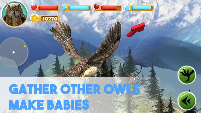 Forest Owl Simulator Full - Be a wild bird!(圖3)-速報App