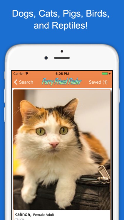 Furry Friend Finder - Animal Rescue Pet Adoption