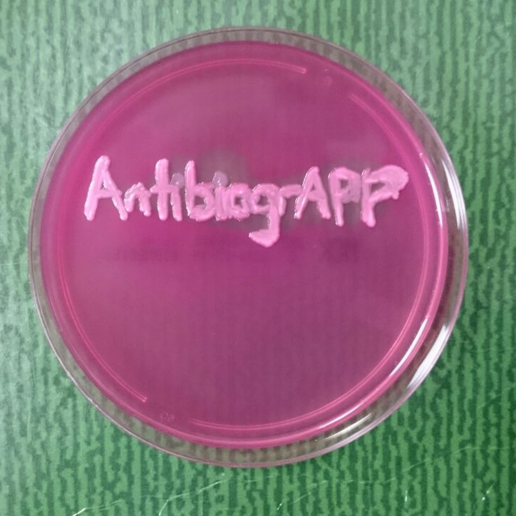 Get AntibiogrAPP for iOS, iPhone, iPad Aso Report