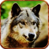 2016 American Wolf Hunter Pro Challenge