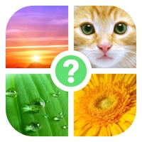 4 Resim - Resimli Kelime Bulmaca