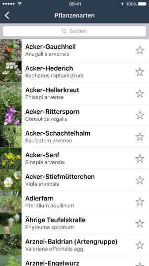 Wildpflanzen zum Genießen(圖2)-速報App