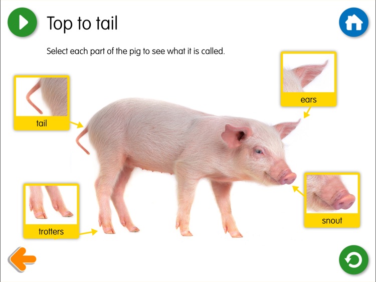 The Three Little Pigs - Come Alive Stories screenshot-3