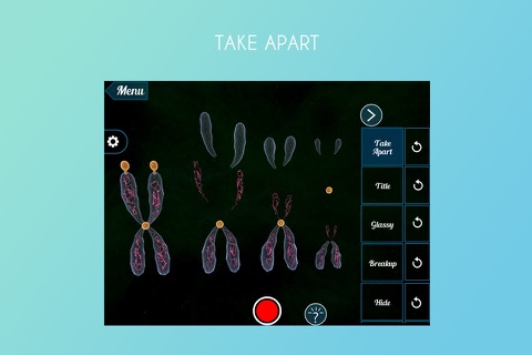 Virtual Reality(VR) Chromosomes screenshot 2