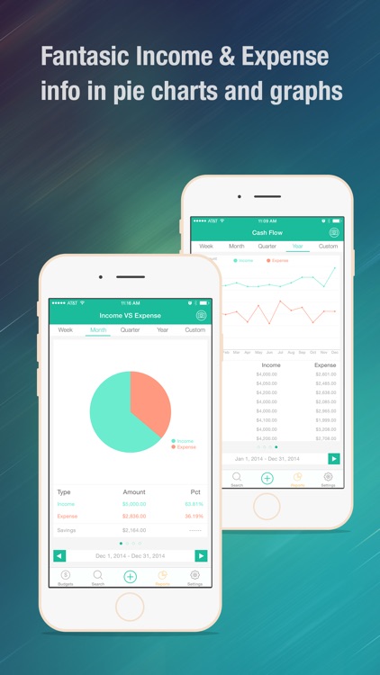 Budget Wiz - Monthly Home Budget Planner & Manager