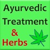 Icon Ayurvedic Treatment & Herbs