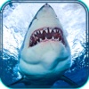 2016 Hungry Angry Shark Hunting Simulation - Interactive Aquarium Summer Season Hunting
