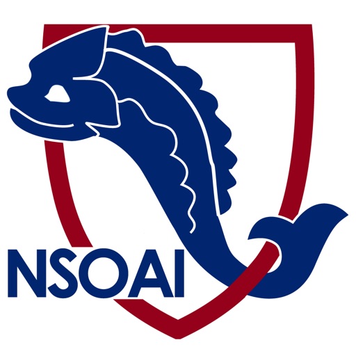 Penn NSOAI Events