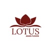 Lotus NY
