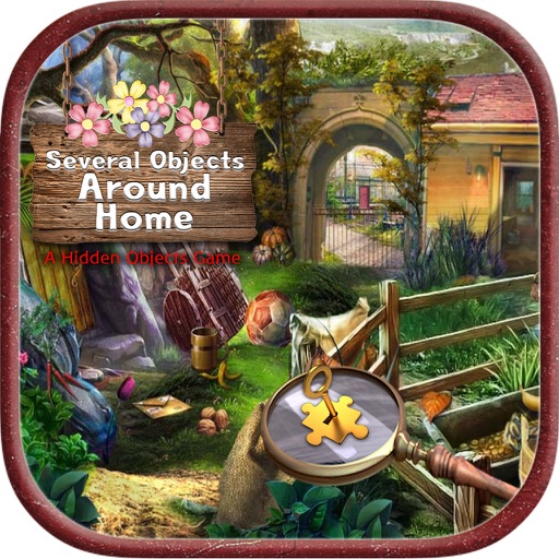 Several Objects Around Home - Hidden Objects Icon