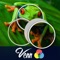 Venn Frogs: Overlapping Jigsaw Puzzles