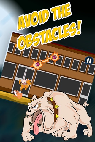 Jetpack Kitten City Adventure: Pet Shop Warrior Pro screenshot 2