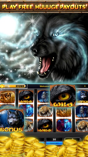 Wild Wolf Casino Slots